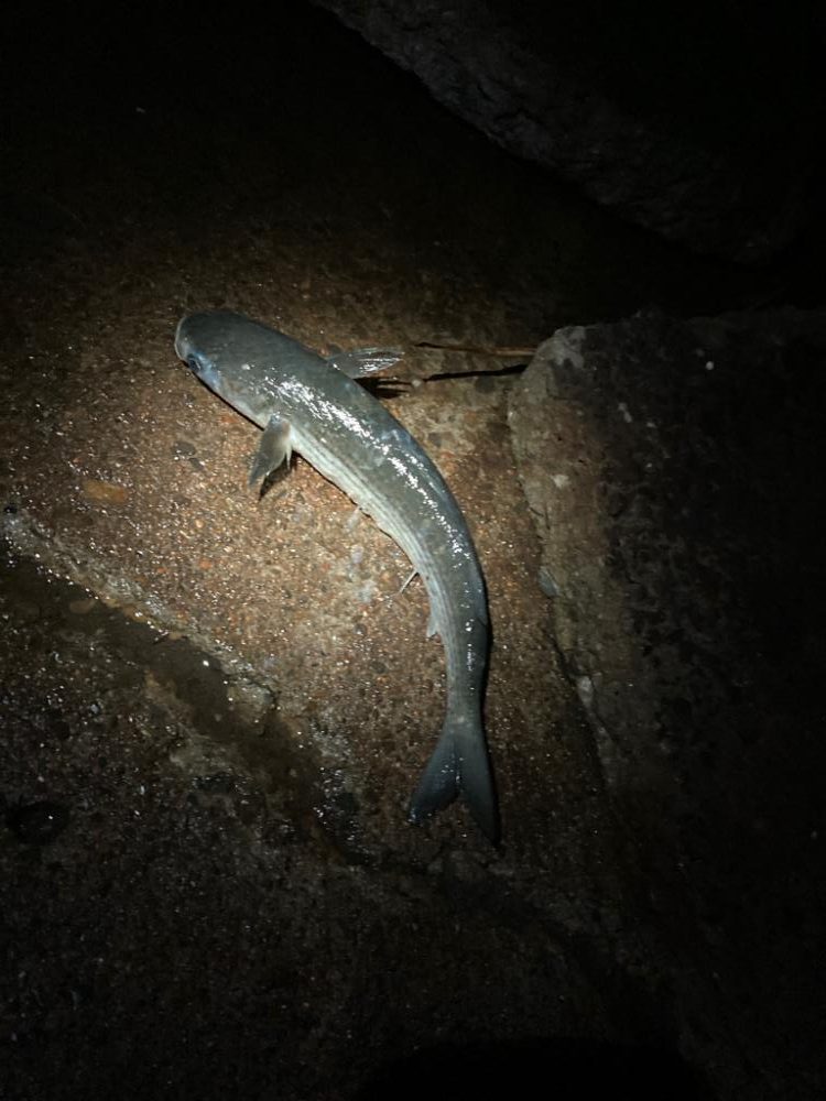 着水と同時にドカン！