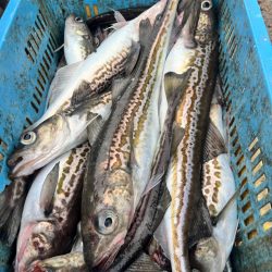 オフショアジギングin白老