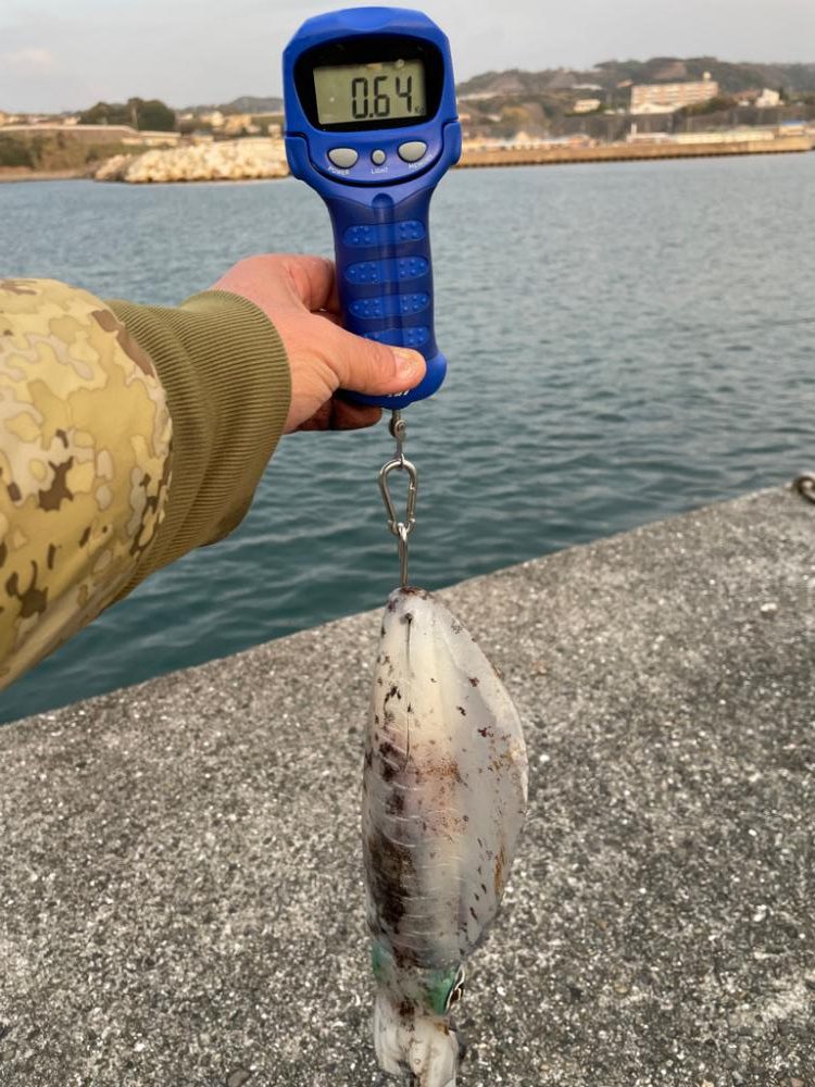 新年ヤエン釣行