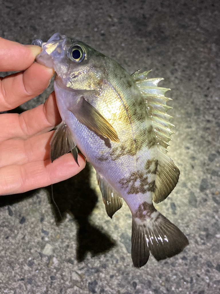 寒波が来る前に