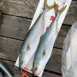 経ヶ岬沖ジギング