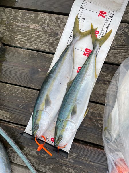 経ヶ岬沖ジギング