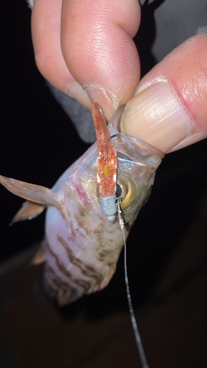 激渋メバリング