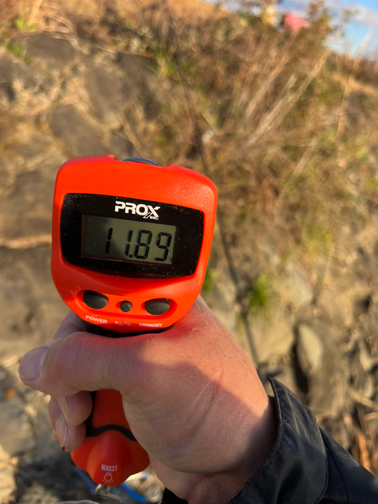 激太りの鰤が釣れました。