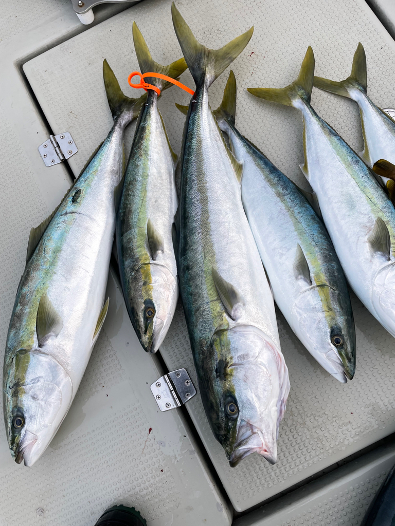 丹後沖ジギング