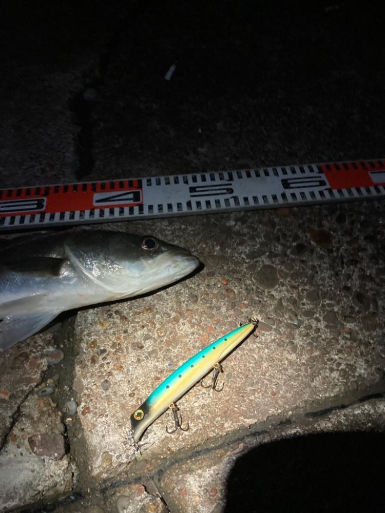 大寒中の釣行に成功