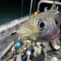 新年初ボートアジング