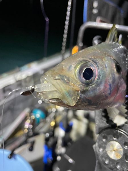 新年初ボートアジング