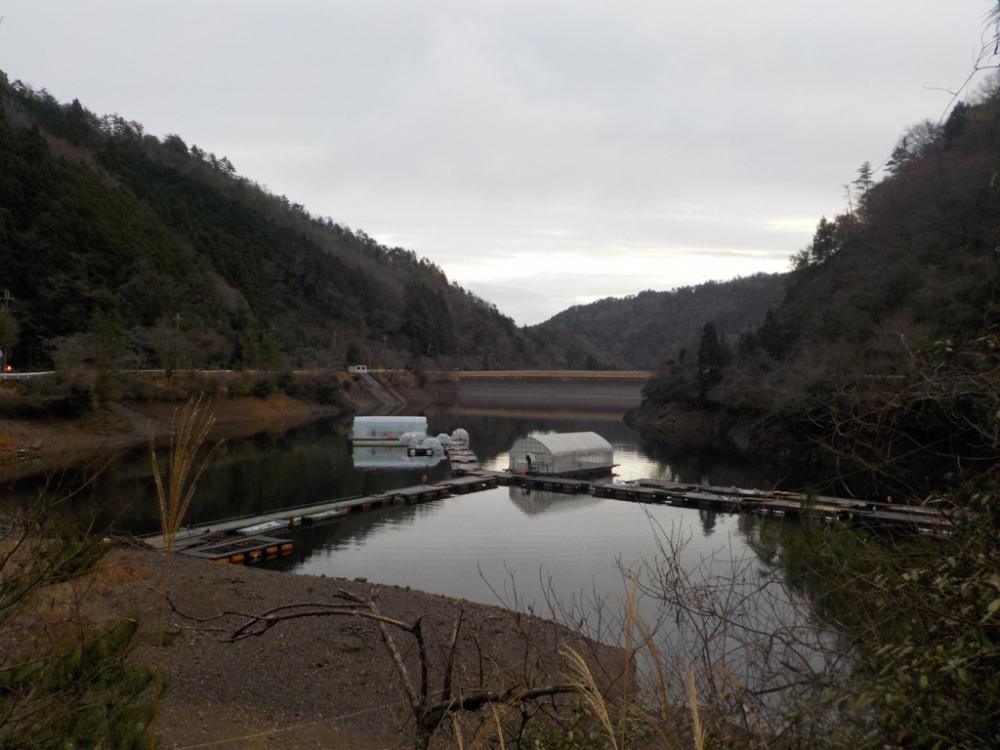 ワカサギ第6戦（佐仲ダム）