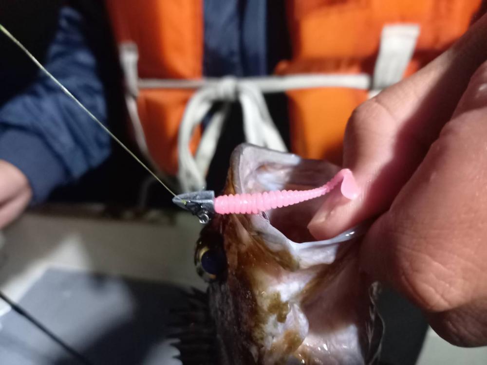 初のオフショアライトゲーム