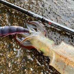 祝ヤリ〜開幕&RT墨つけ