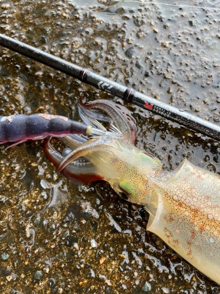 祝ヤリ〜開幕&RT墨つけ