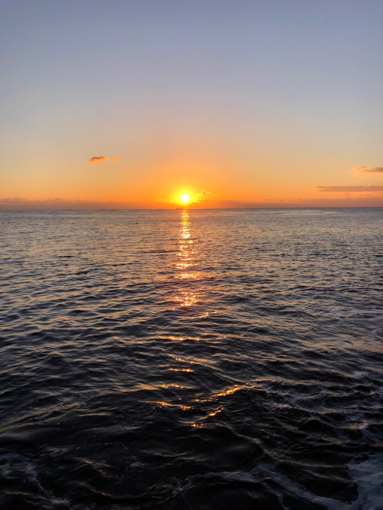 【串本】今年初イカ、初キロアップ！(1月クリア)