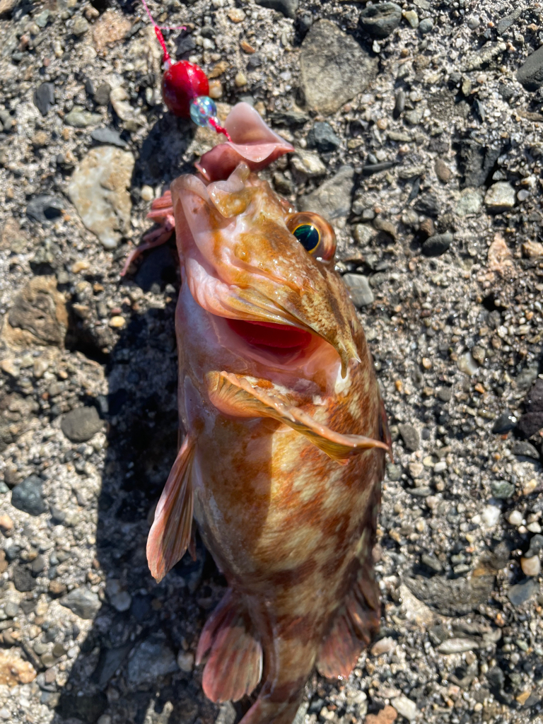 帰ってきた穴釣りNo.3