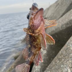 帰ってきた穴釣りNo.2