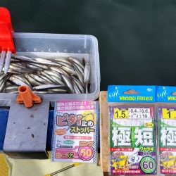 愛知県入鹿池ボート ワカサギ釣り！