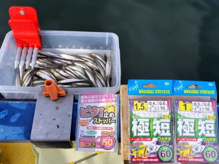 愛知県入鹿池ボート ワカサギ釣り！