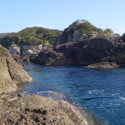 磯渡しデビュー戦