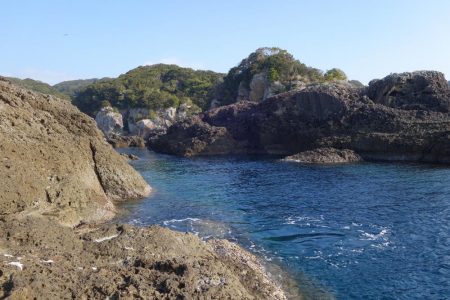 磯渡しデビュー戦