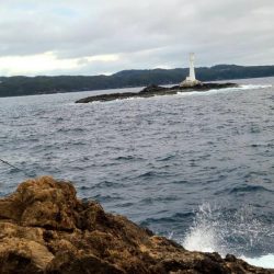 和歌山串本出雲「谷口渡船」で尾長グレ