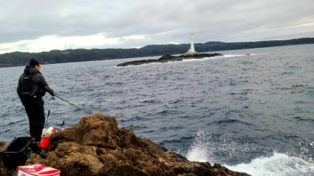 和歌山串本出雲「谷口渡船」で尾長グレ