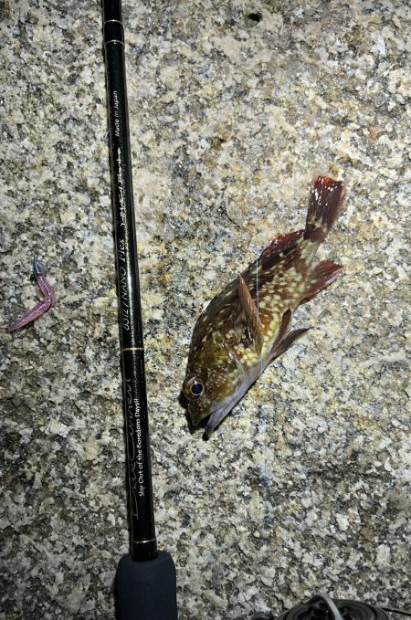 おNEWロッドでガシリング