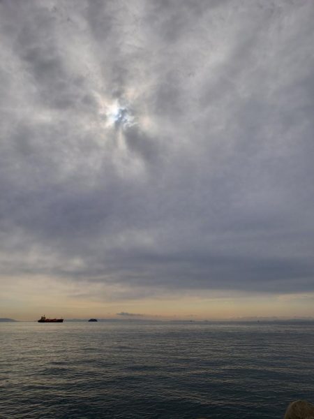 １ヶ月ぶりの鰤ならず