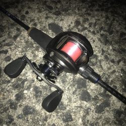 ブラクリ&イカ短冊でガシラ釣り