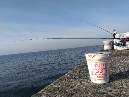 寒サバ狙いに☆