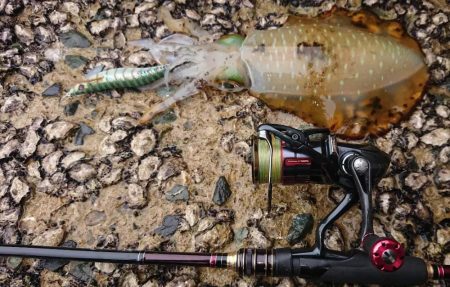 雨エギングIN対馬