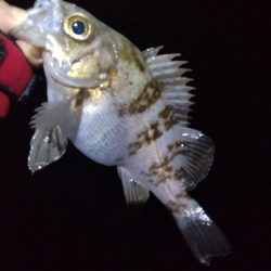 厳しい季節です