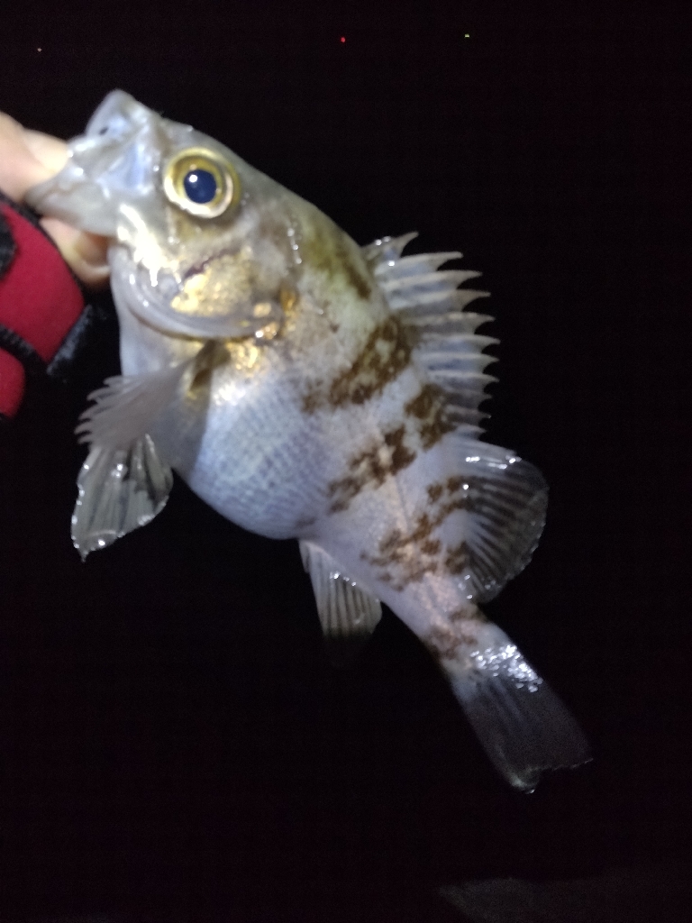 厳しい季節です