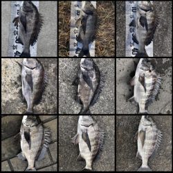 イチノ兄弟（兄）釣果！