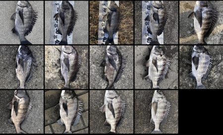 イチノ兄弟（兄）釣果！