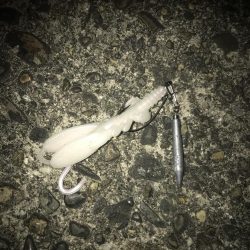 直リグでガシラ&マゴチGET