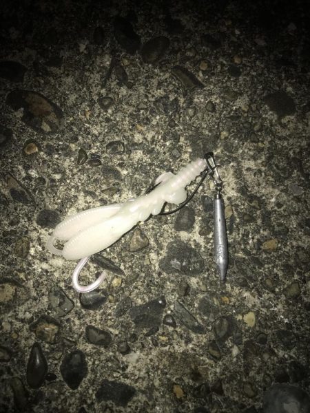 直リグでガシラ&マゴチGET