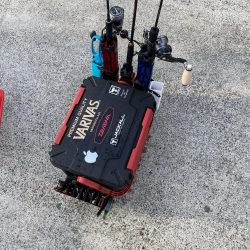 一つテンヤ、SLJ