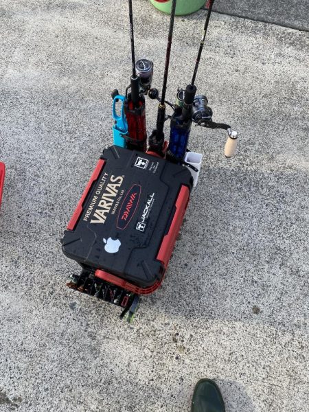 一つテンヤ、SLJ