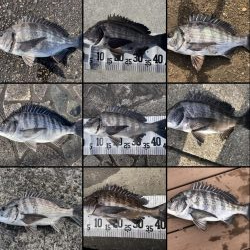 イチノ兄弟(兄)釣果!