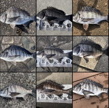 イチノ兄弟(兄)釣果!