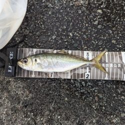 陸っぱり釣行記