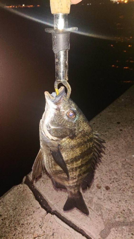 年明け1発目に事故🎵