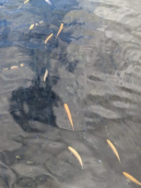 2022年 釣り納め