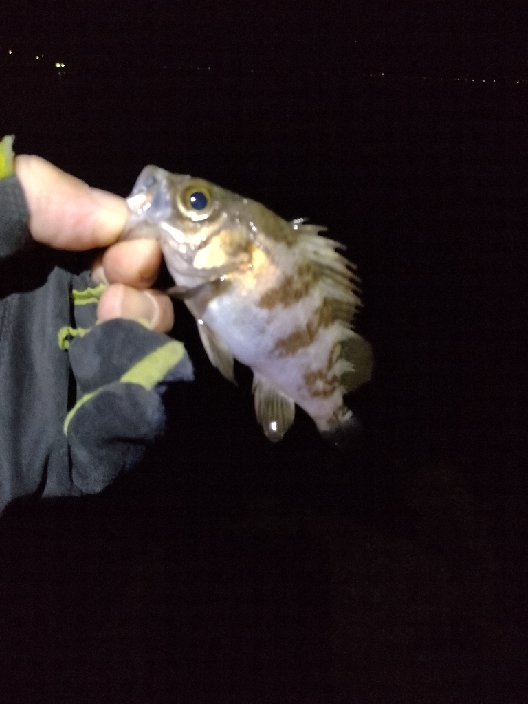 そんなオイシイ話はありません