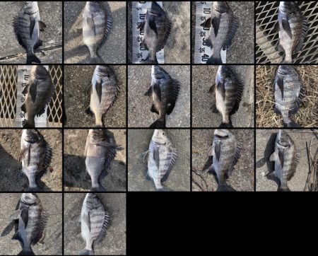 イチノ兄弟（兄）釣果！