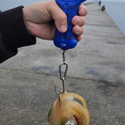 2023年 初キロアップ