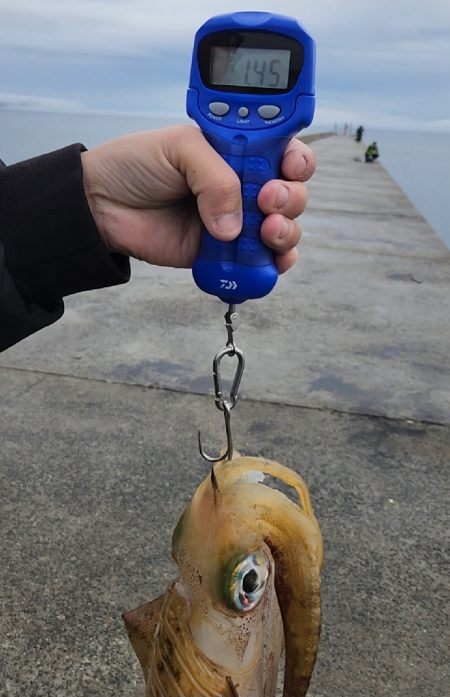 2023年 初キロアップ