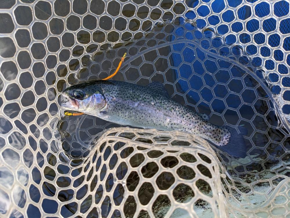 足柄キャスティングエリアで釣り納め