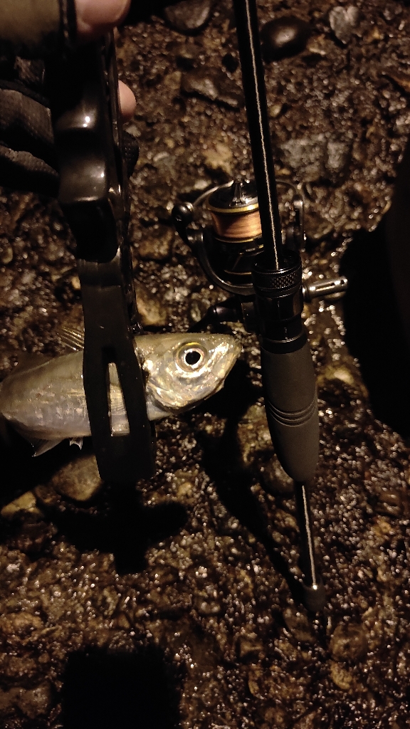 なんとか出来そう