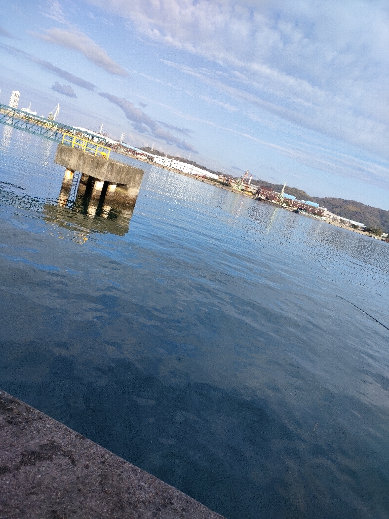 12/31大晦日釣果